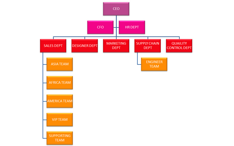 Company Structure